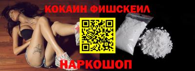 стафф Кингисепп
