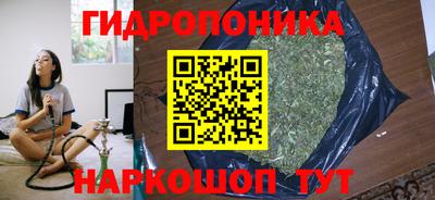 хмурый Кимры