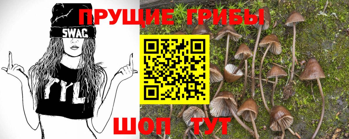 Котлас  Псилоцибиновые грибы мицелий  Вход с VPN  Галлюциногенные грибы Psilocybine cubensis 